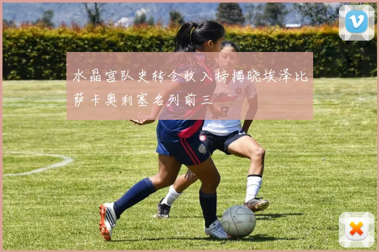 水晶宫队史转会收入榜揭晓埃泽比萨卡奥利塞名列前三