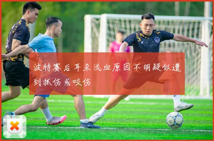 波特赛后耳朵流血原因不明疑似遭到抓伤或咬伤