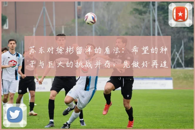 苏东对徐彬留洋的看法：希望的种子与巨大的挑战并存，先做好再追求完美