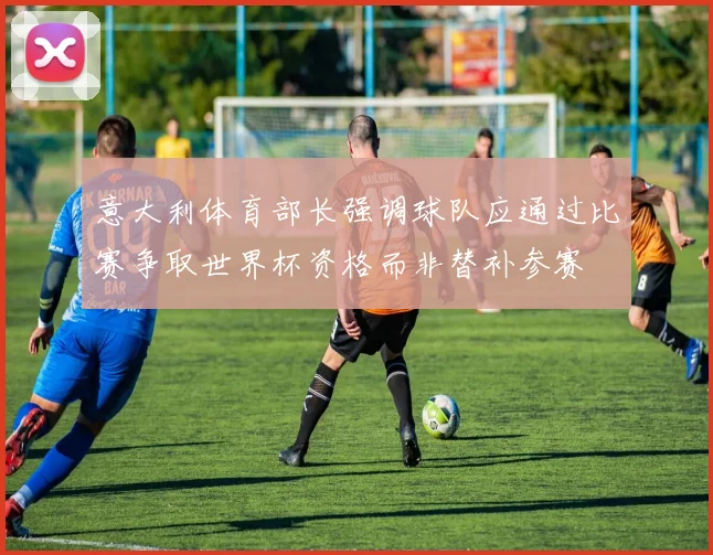 意大利体育部长强调球队应通过比赛争取世界杯资格而非替补参赛